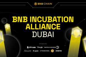 BIA is Coming to Binance Blockchain Week Dubai 2024!