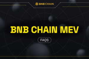 BNB Chain MEV FAQs