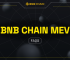 BNB Chain MEV FAQs