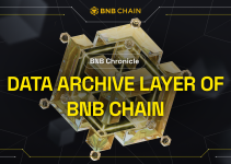 BNB Chronicle: Data Archive Layer of BNB Chain