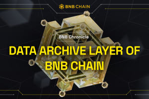 BNB Chronicle: Data Archive Layer of BNB Chain