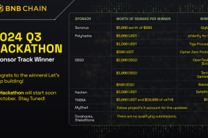 Celebrating Innovation: Winners of the BNB Chain 2024 Q3 Hackathon