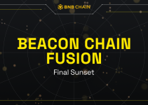 Final Sunset plan of BNB Beacon Chain