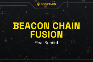 Final Sunset plan of BNB Beacon Chain