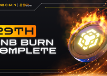 29th BNB Burn