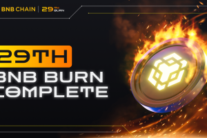 29th BNB Burn