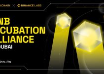 Announcing the BNB Incubation Alliance Winner From Binance Blockchain Week Dubai