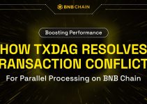 Boosting Performance: How TxDAG Resolves Transaction Conflicts for Parallel Processing on BNB Chain