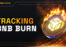 Tracking BNB Burn BNB burn