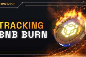 Tracking BNB Burn BNB burn