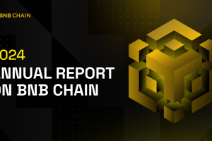 2024 Annual Report on BNB Chain