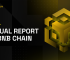 2024 Annual Report on BNB Chain