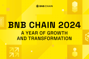 BNB Chain 2024: A Year of Growth and Transformation