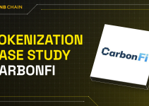 BNB Chain Tokenization Case Study: CarbonFi