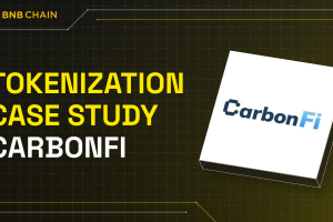 BNB Chain Tokenization Case Study: CarbonFi