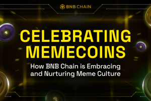 Celebrating Memecoins: How BNB Chain is Embracing and Nurturing Meme Culture