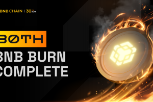 30th BNB Burn