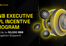 BNB Executive TVL Incentive Program: Win Up to 50,000 BNB Delegation Support!