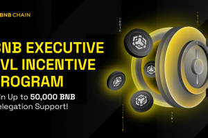 BNB Executive TVL Incentive Program: Win Up to 50,000 BNB Delegation Support!