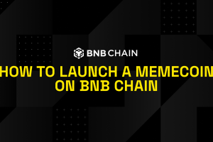 How To Launch A Memecoin on BNB Chain – A Step-by-Step Guide