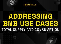 Addressing BNB Use Cases, Total Supply and Consumption