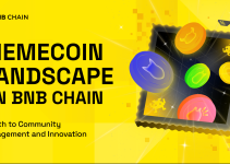 Memecoin Landscape on BNB Chain: A Path to Community Engagement and Innovation