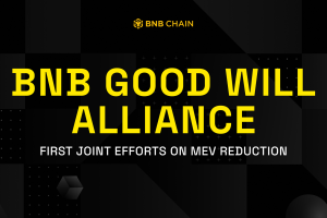 BNB Good Will Alliance