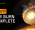 31st BNB Burn