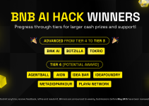 Congratulations to the latest BNB AI Hack Winners – May 29 Batch