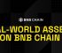 The State of Real-World Assets (RWAs) on BNB Chain