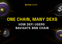 One Chain, Many DEXs: How DeFi Users Navigate BNB Chain
