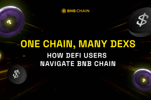 One Chain, Many DEXs: How DeFi Users Navigate BNB Chain