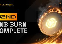 32nd BNB Burn