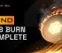 32nd BNB Burn