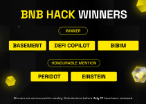 Congratulations to the latest BNB Hack Winners- July 21 Batch