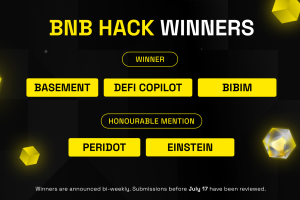 Congratulations to the latest BNB Hack Winners- July 21 Batch