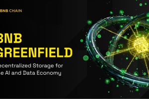 BNB Greenfield: Decentralized Storage for the AI and Data Economy BNB Greenfield: Decentralized Storage for the AI and Data Economy